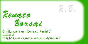 renato borsai business card